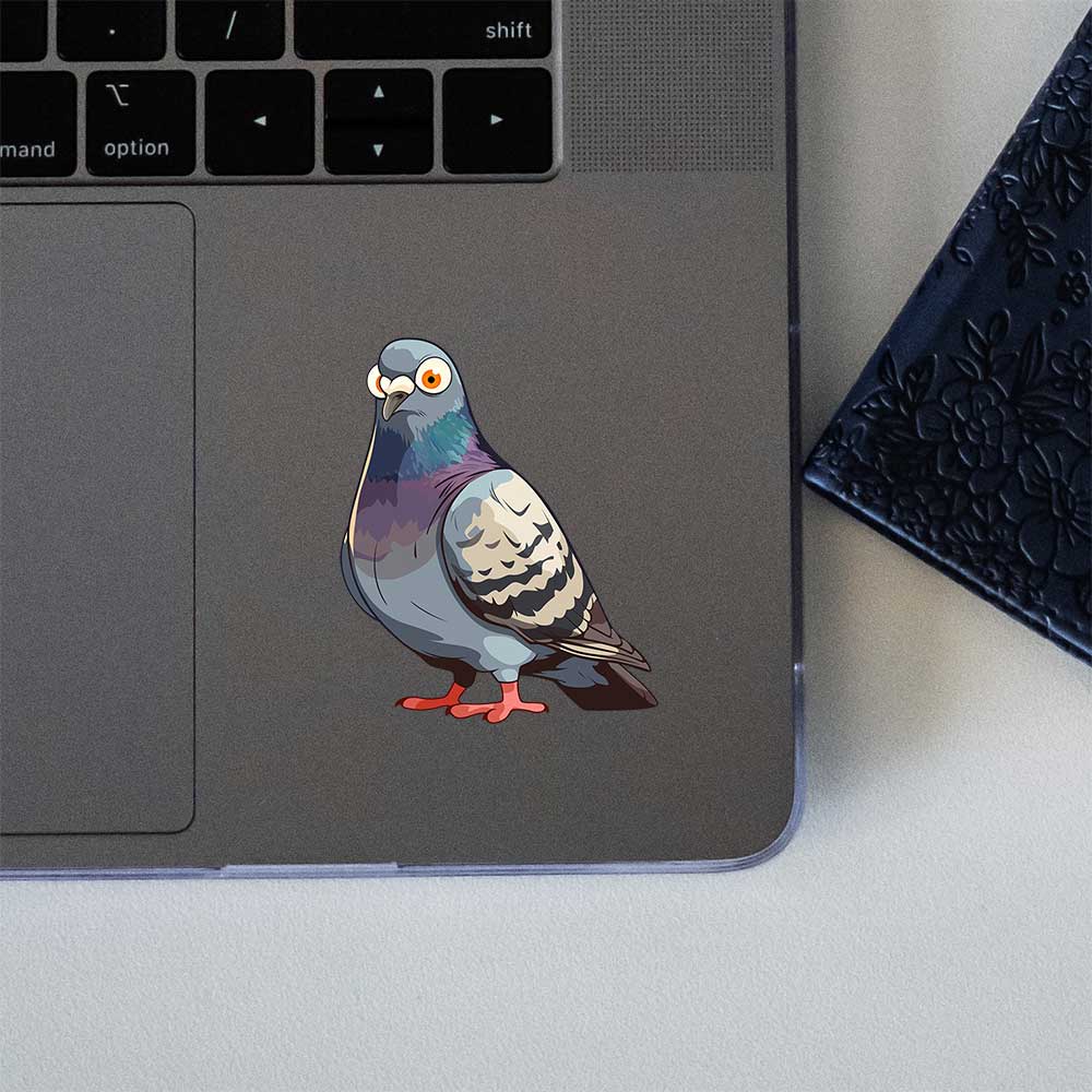 Funny Pigeon Look Sticker