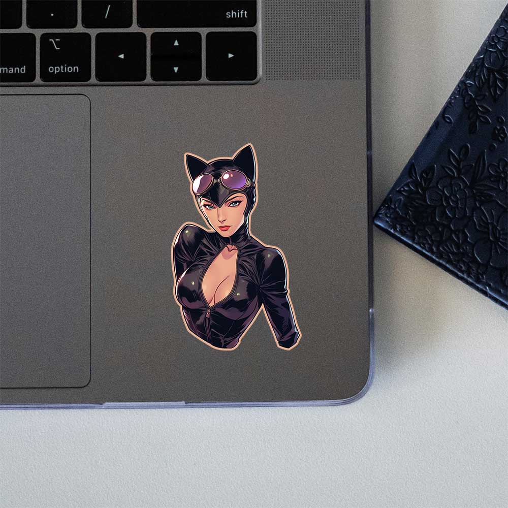 Catwoman Dc Comics Sticker