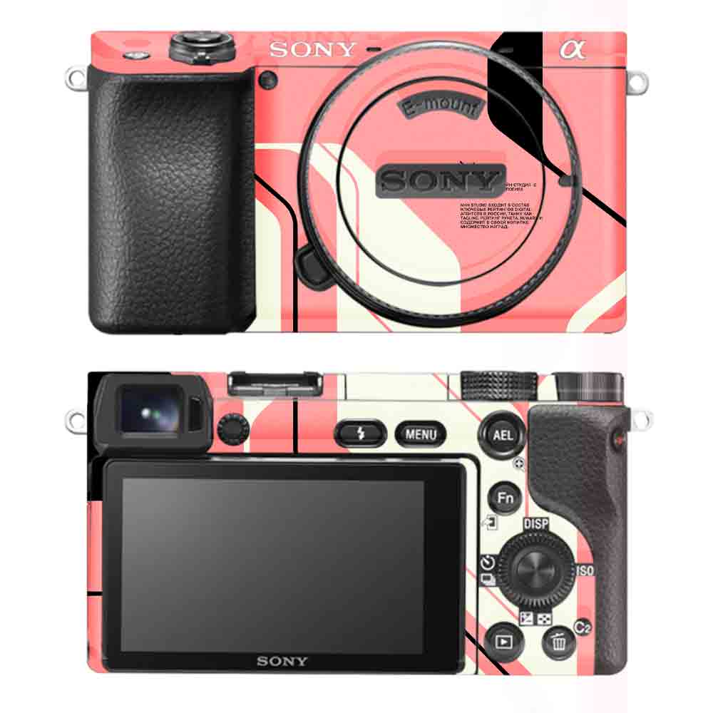 Sony A6100 Camera Skins & Wraps