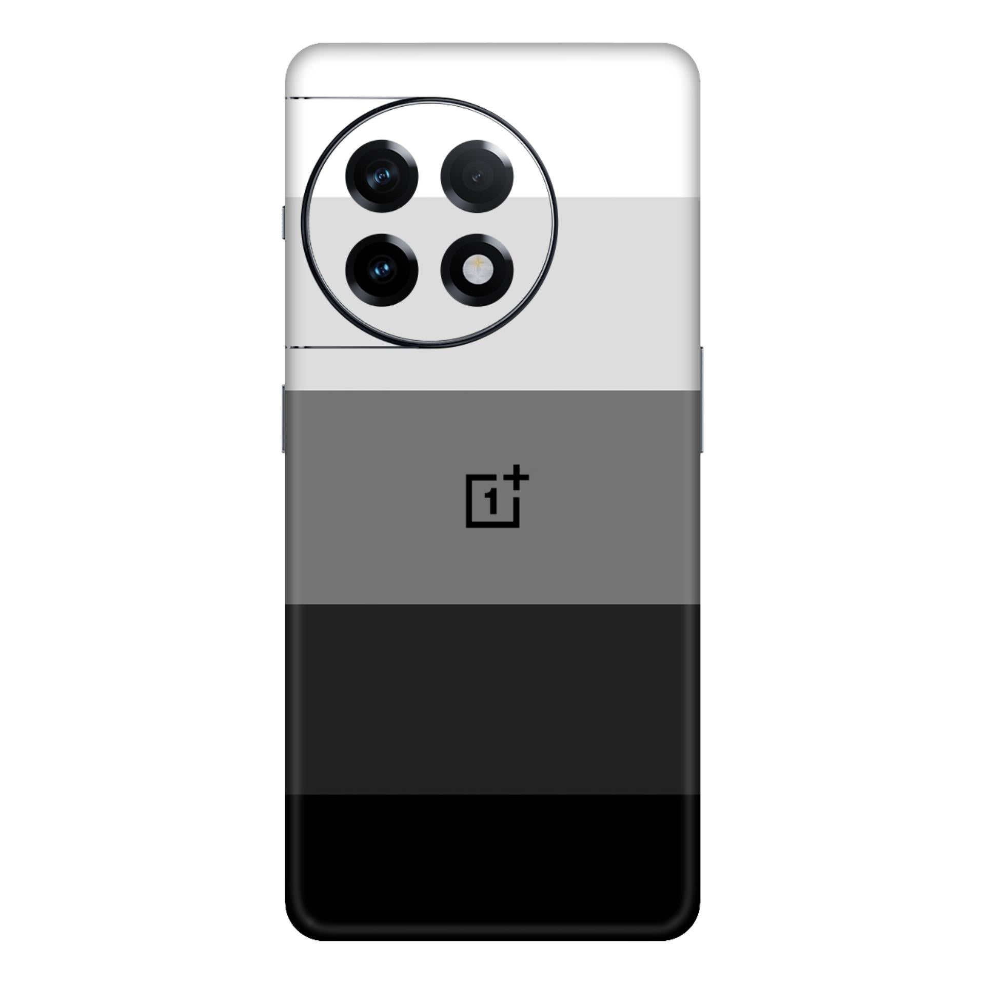 OnePlus 11R Skins & Wraps
