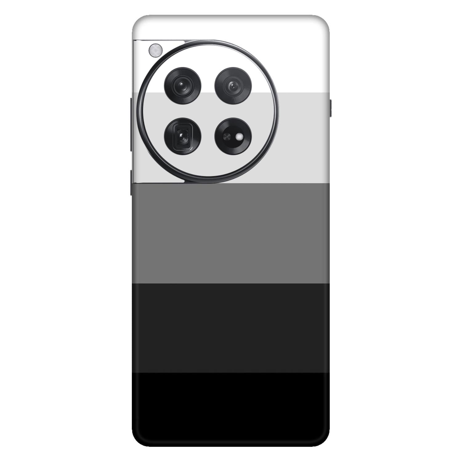 OnePlus 12 Skins & Wraps