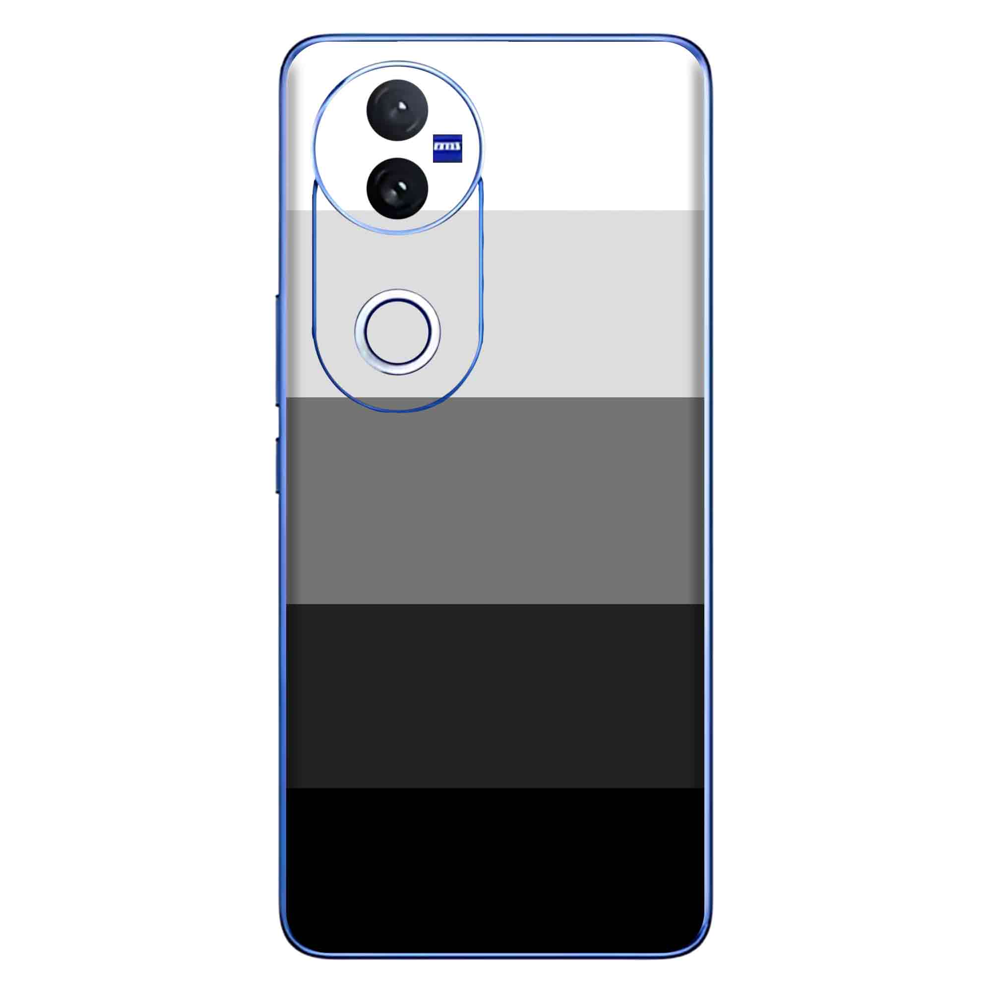 Vivo V50 (5G) Skins & Wraps