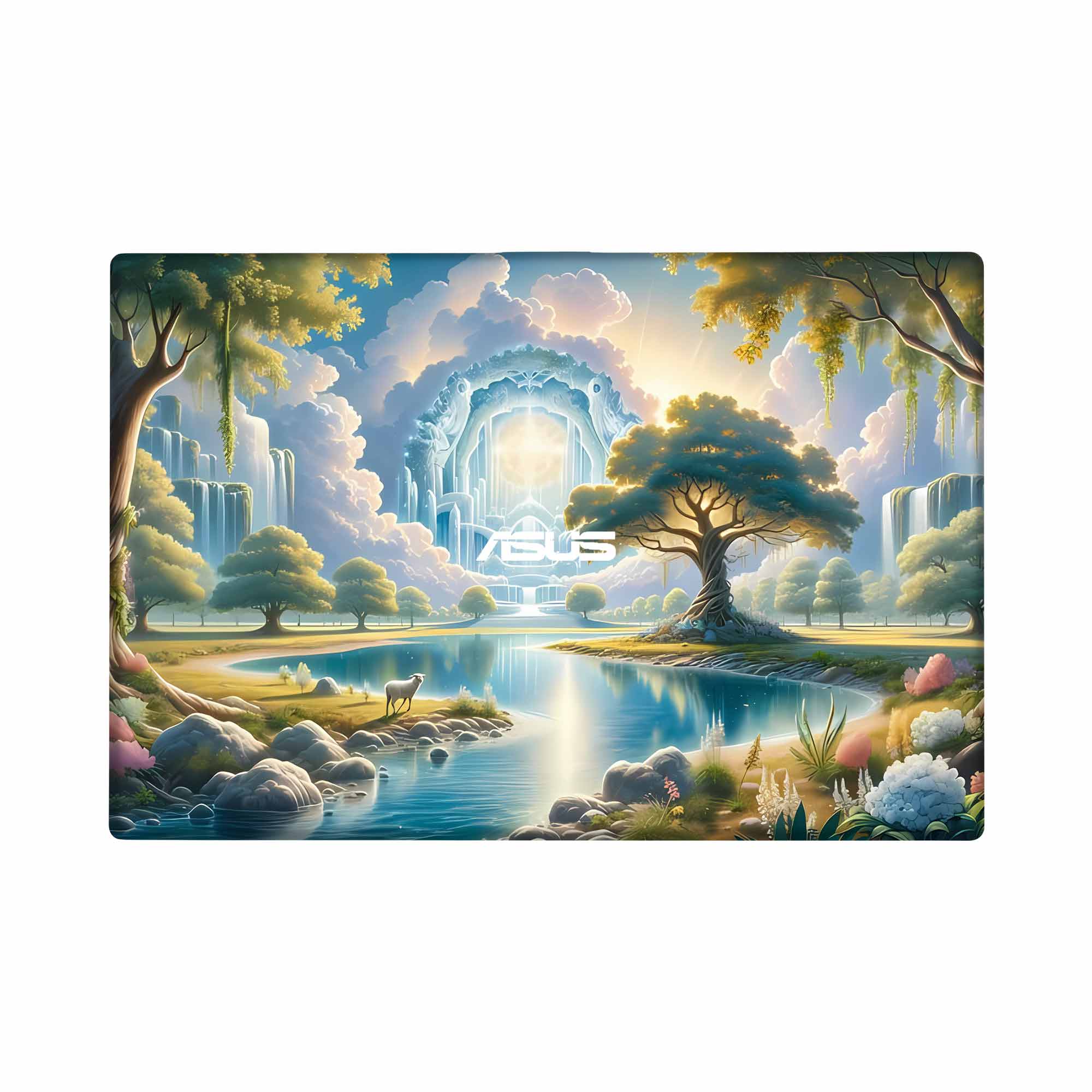 ASUS X553MA Skins & Wrap