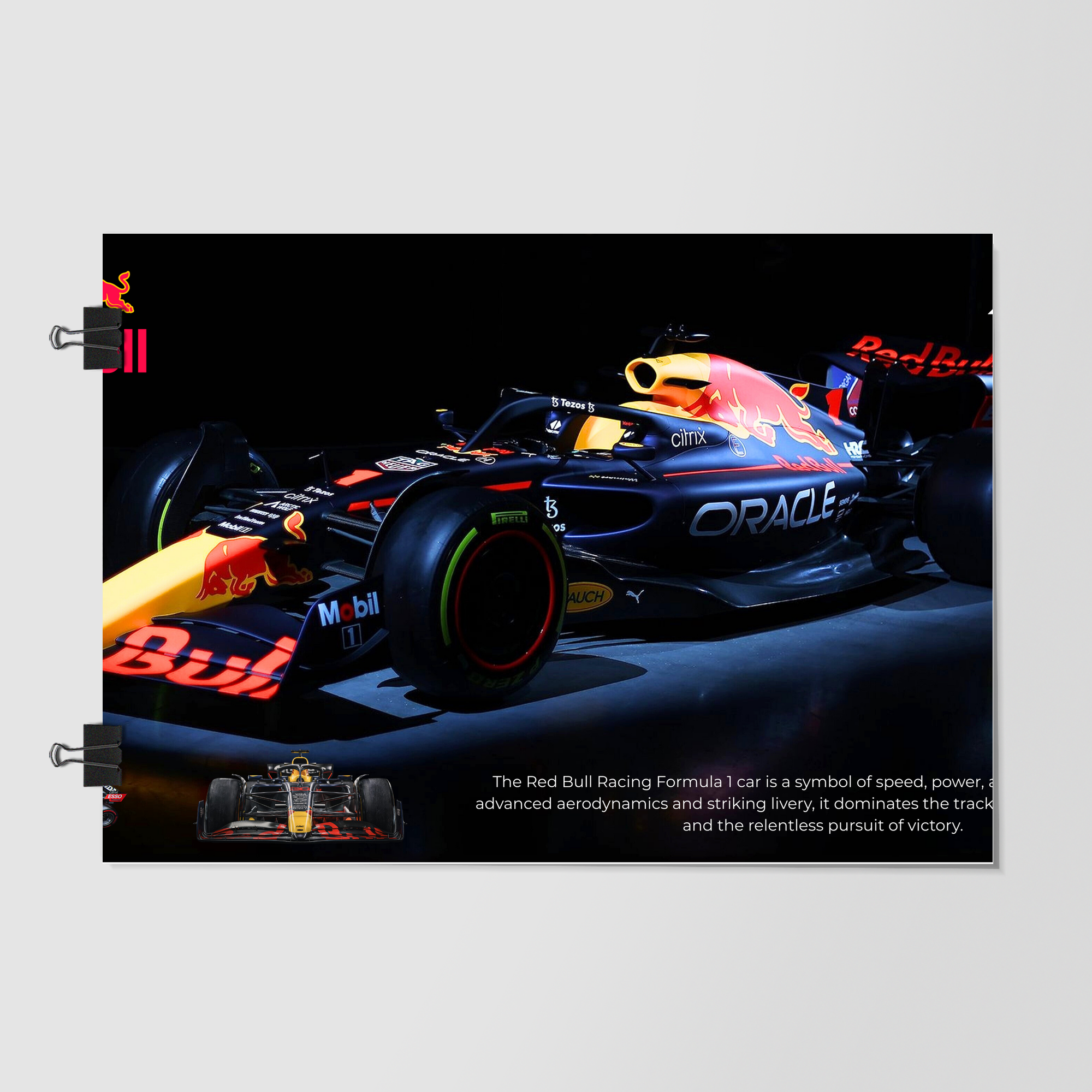 Red Bull Racing F1 Car by Decalz
