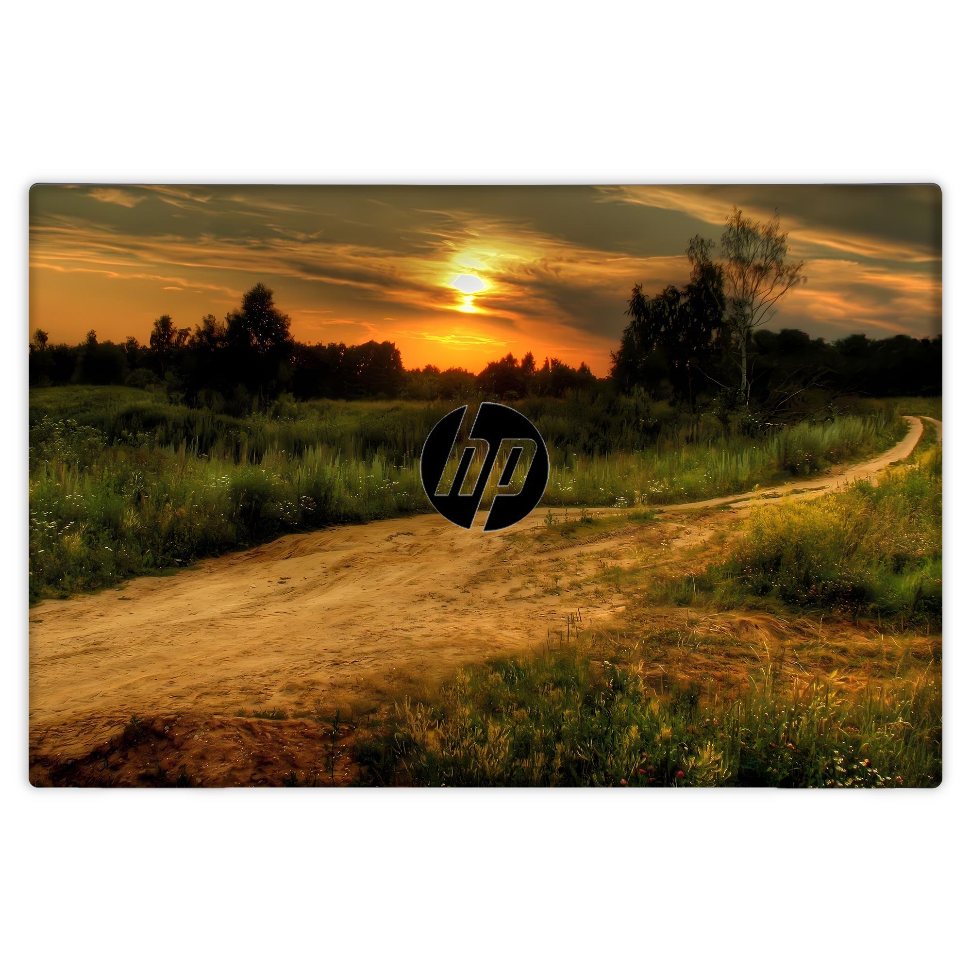 Hp Pavilion 15 -CS1080TX,9461NGW Skins & Wraps