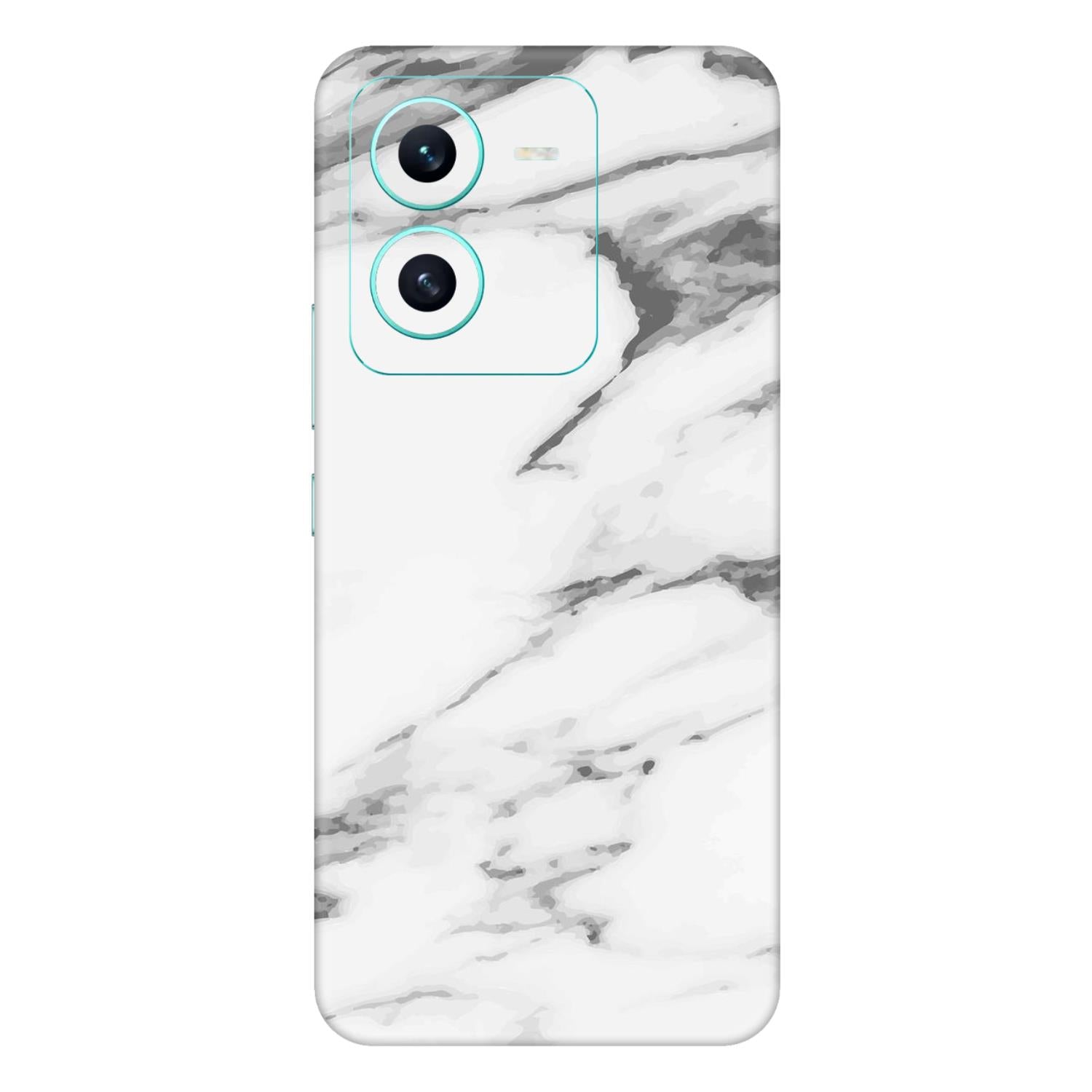 Vivo V25 (5G) Skins & Wraps