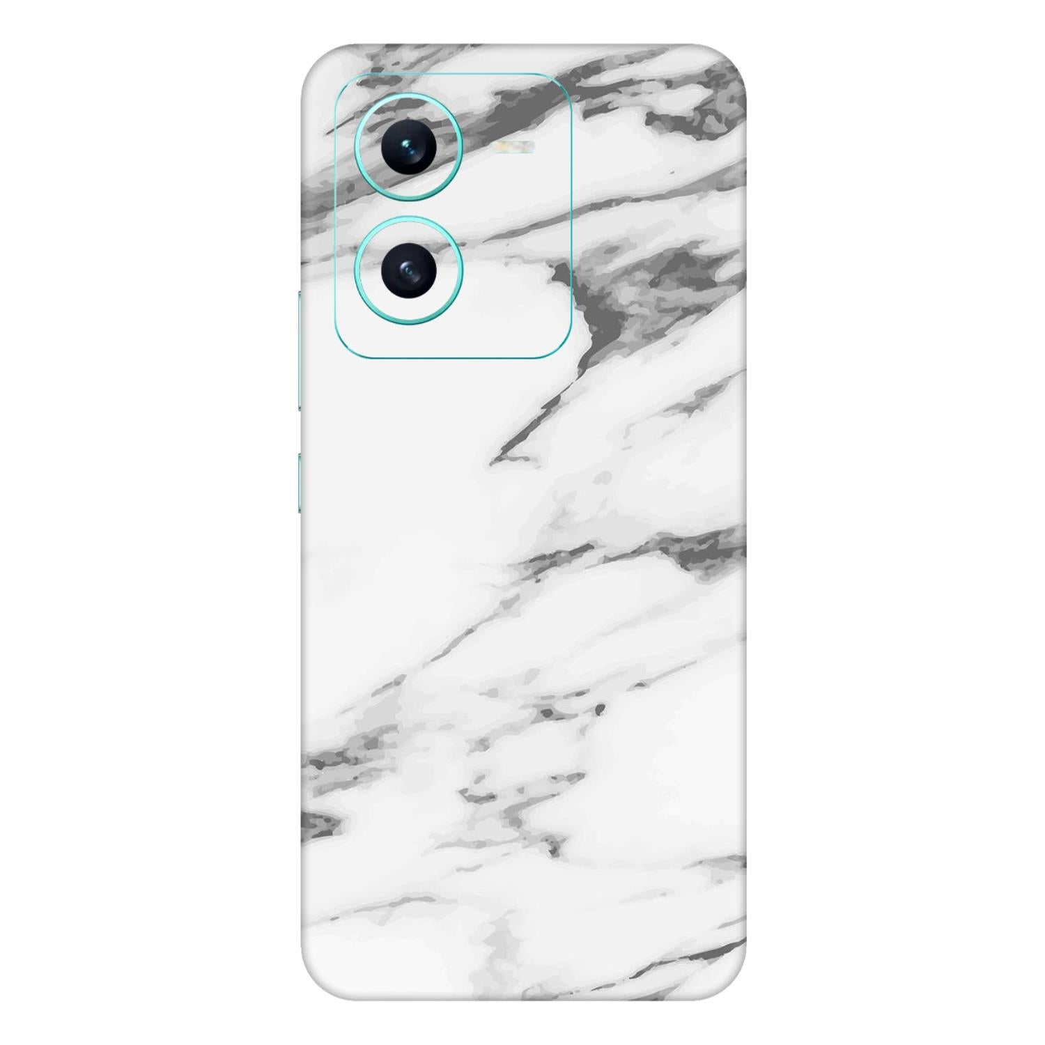 Vivo V25 (5G) Skins & Wraps
