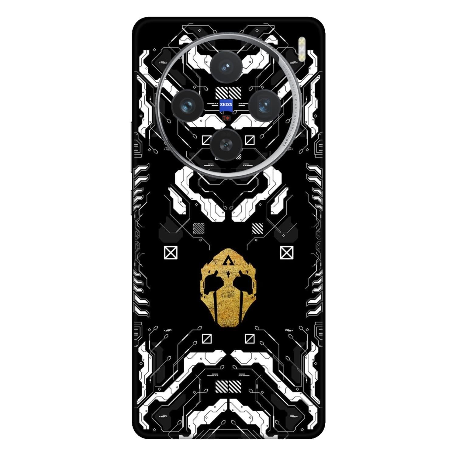 Vivo X100 (5G) Skins & Wraps