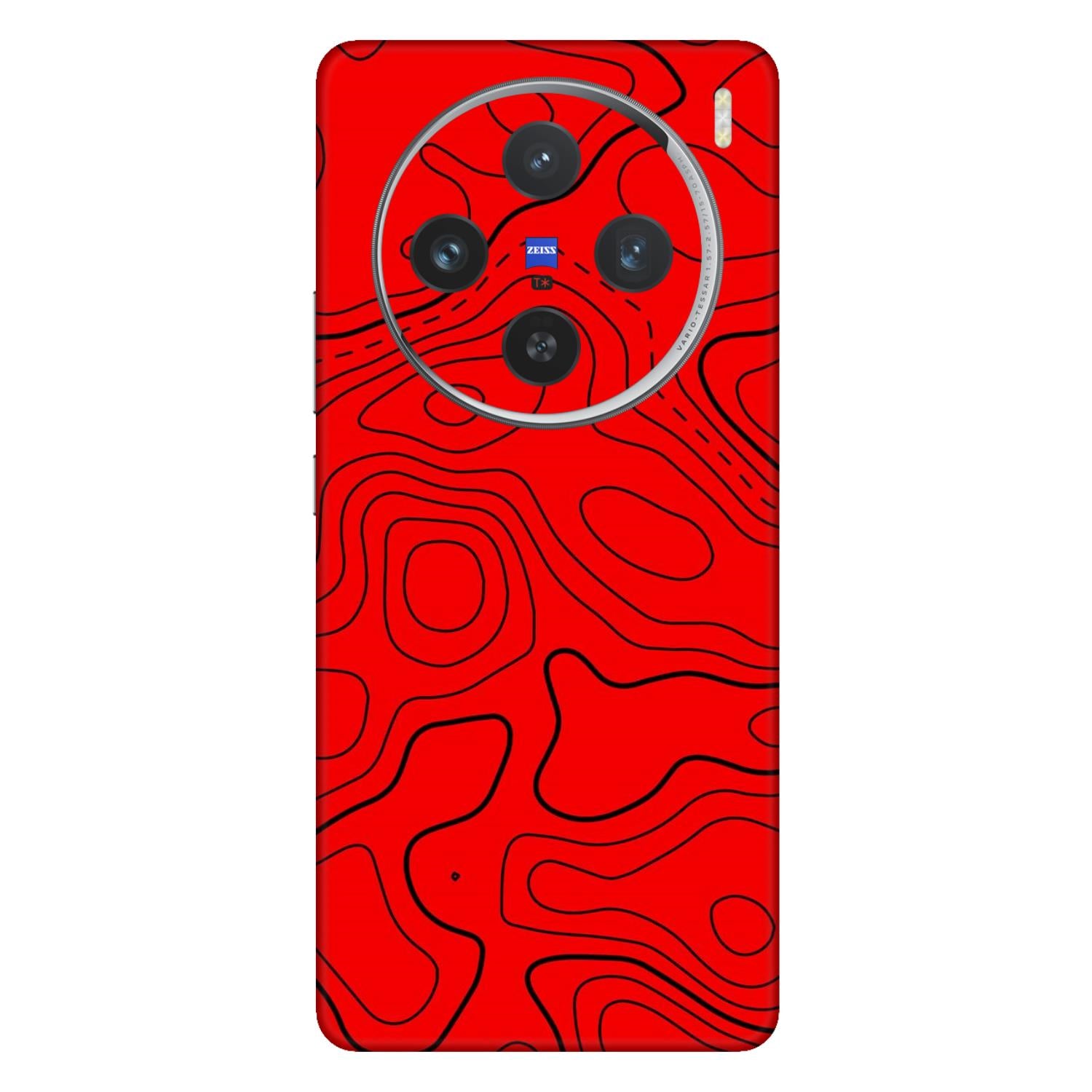 Vivo X100 (5G) Skins & Wraps