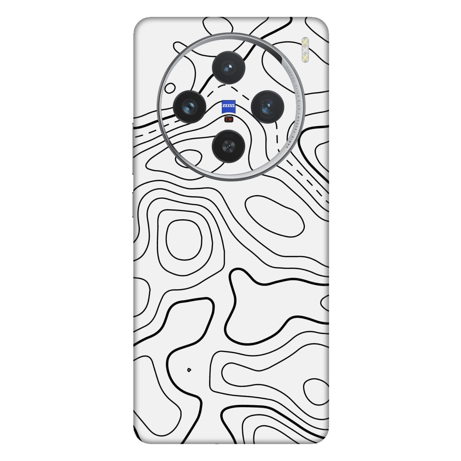 Vivo X100 (5G) Skins & Wraps