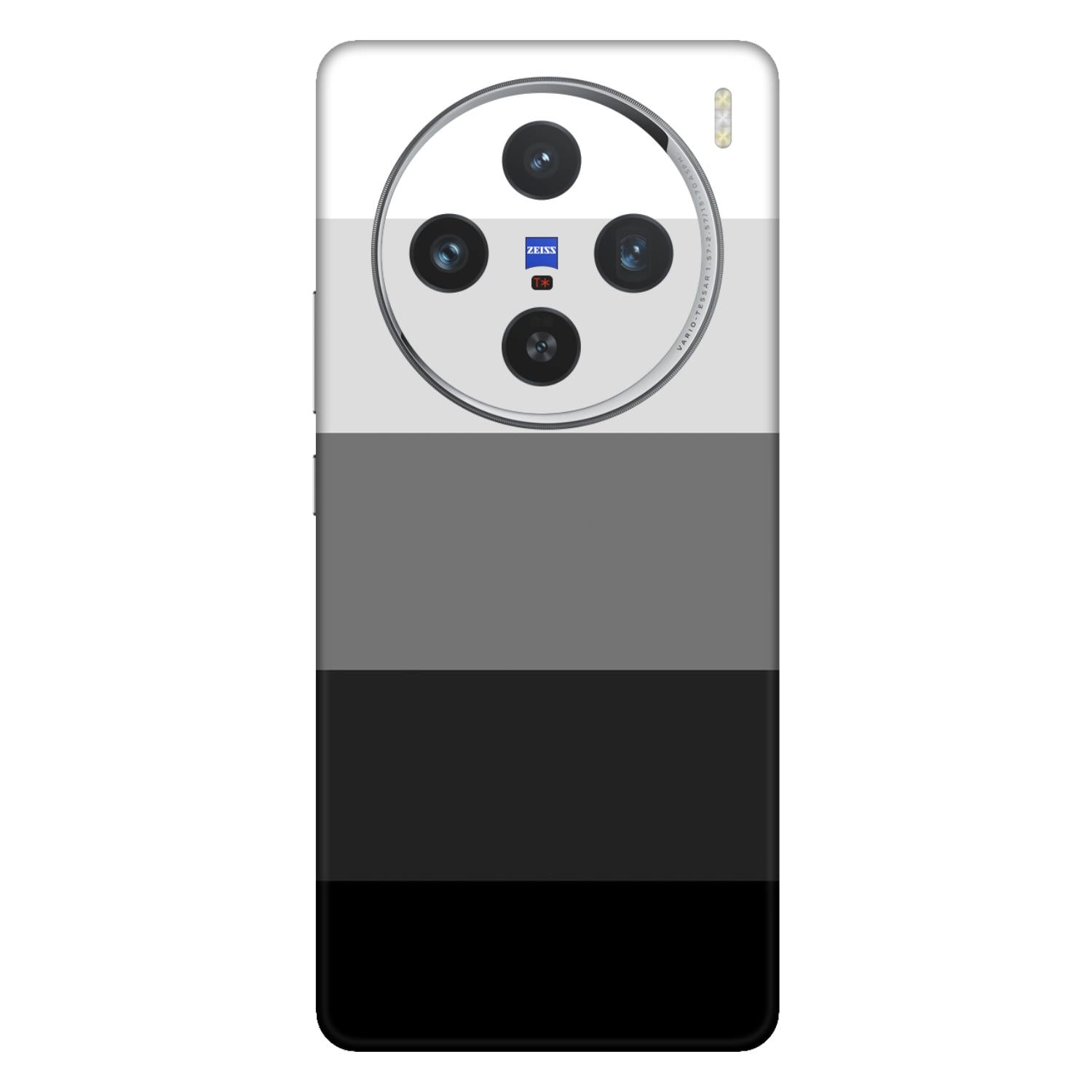 Vivo X100 (5G) Skins & Wraps