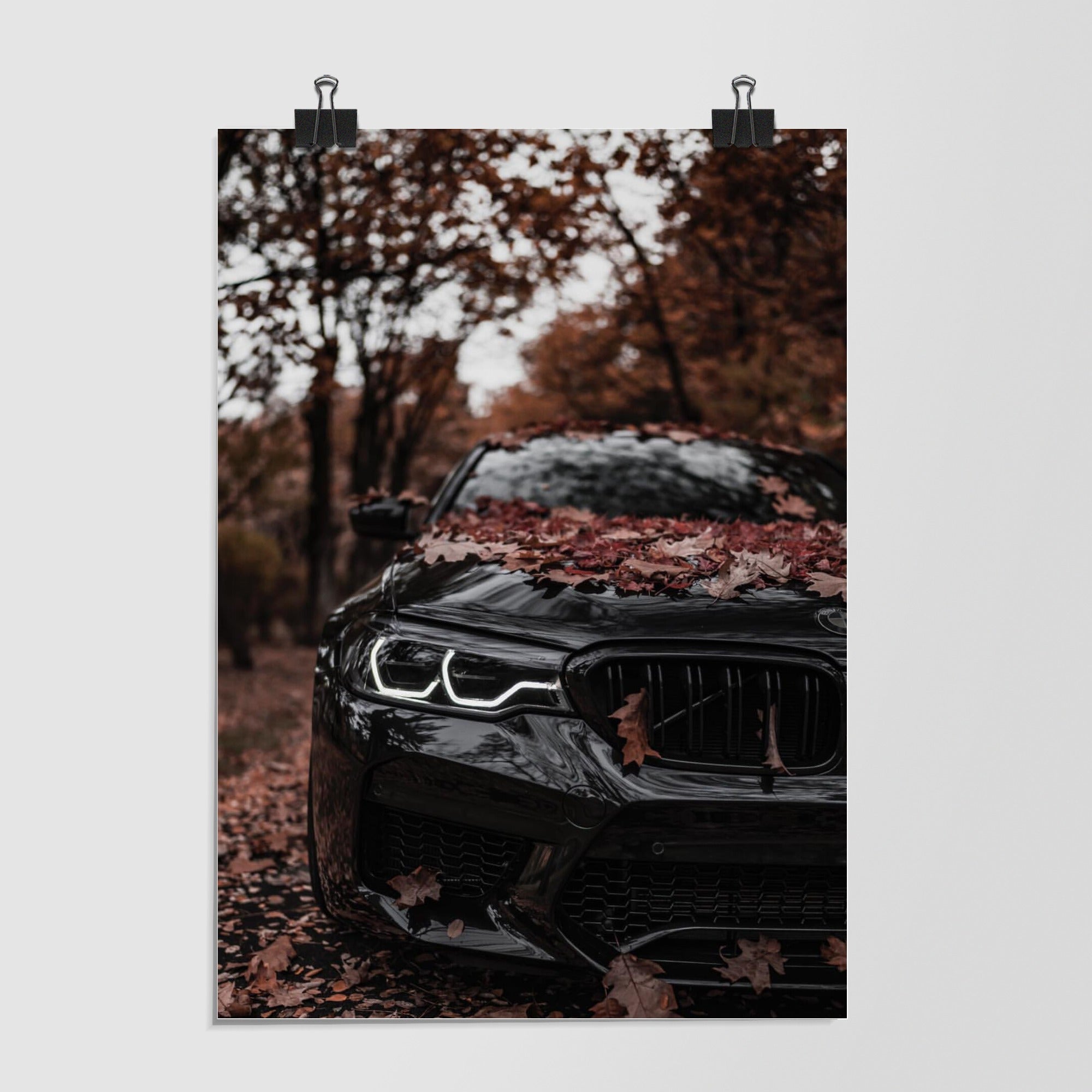 Bmw Black Luxury Coupe Night Scene by Decalz