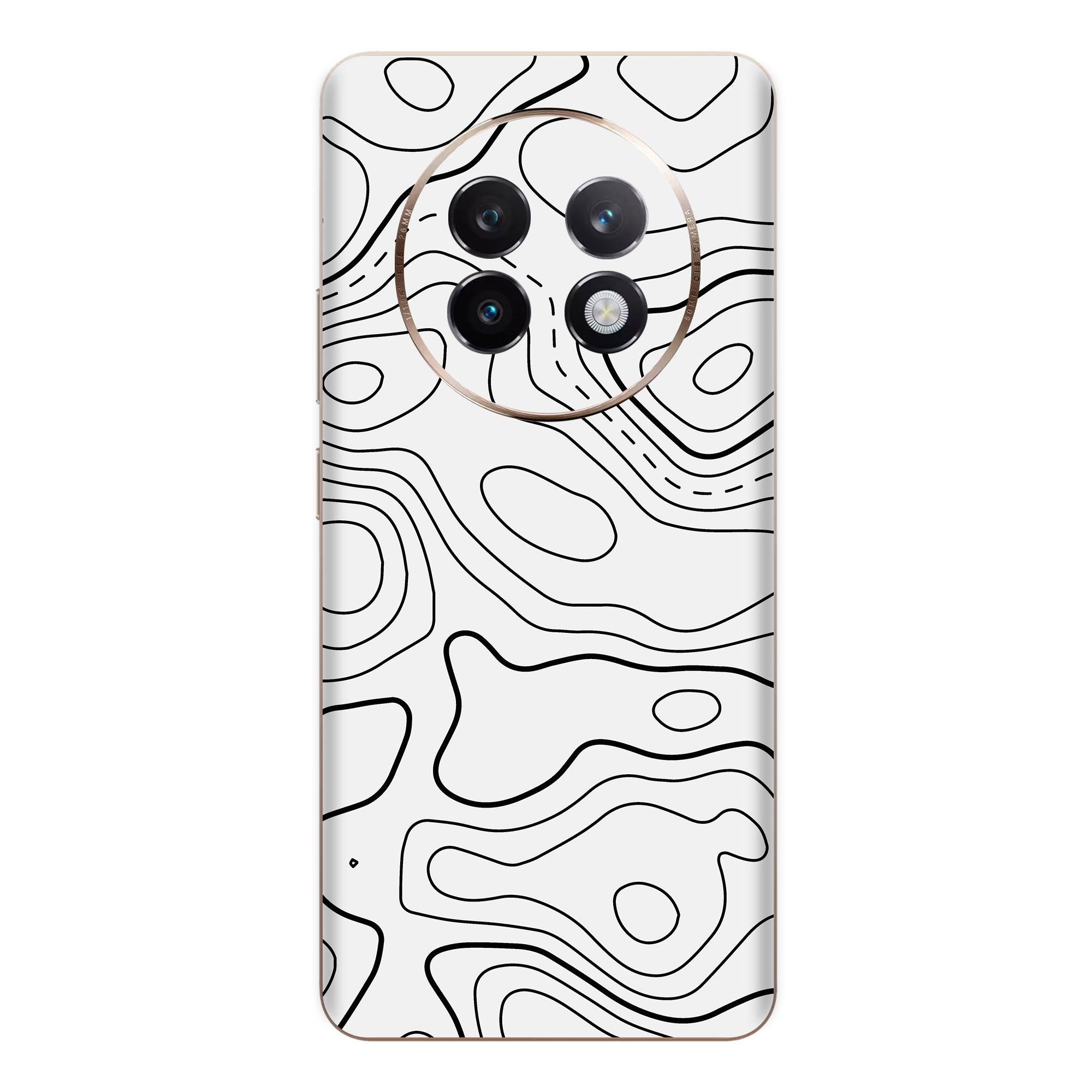 Realme 13 Plus (5G) Skins & Wraps
