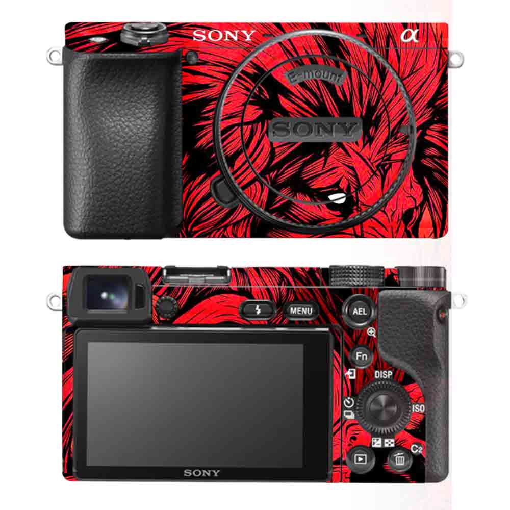 Sony A6100 Camera Skins & Wraps