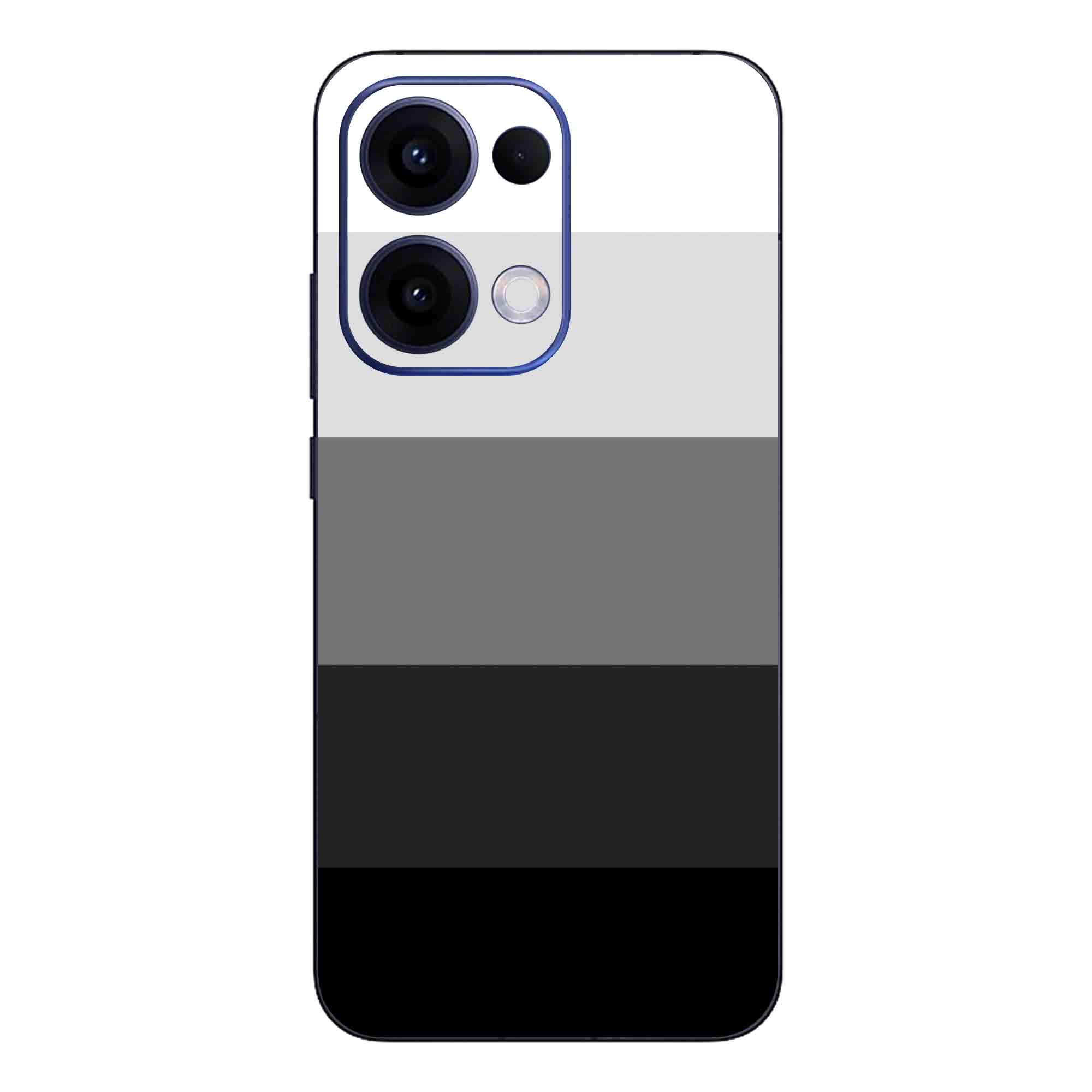 Oppo Reno 13 (5G) Skins & Wraps