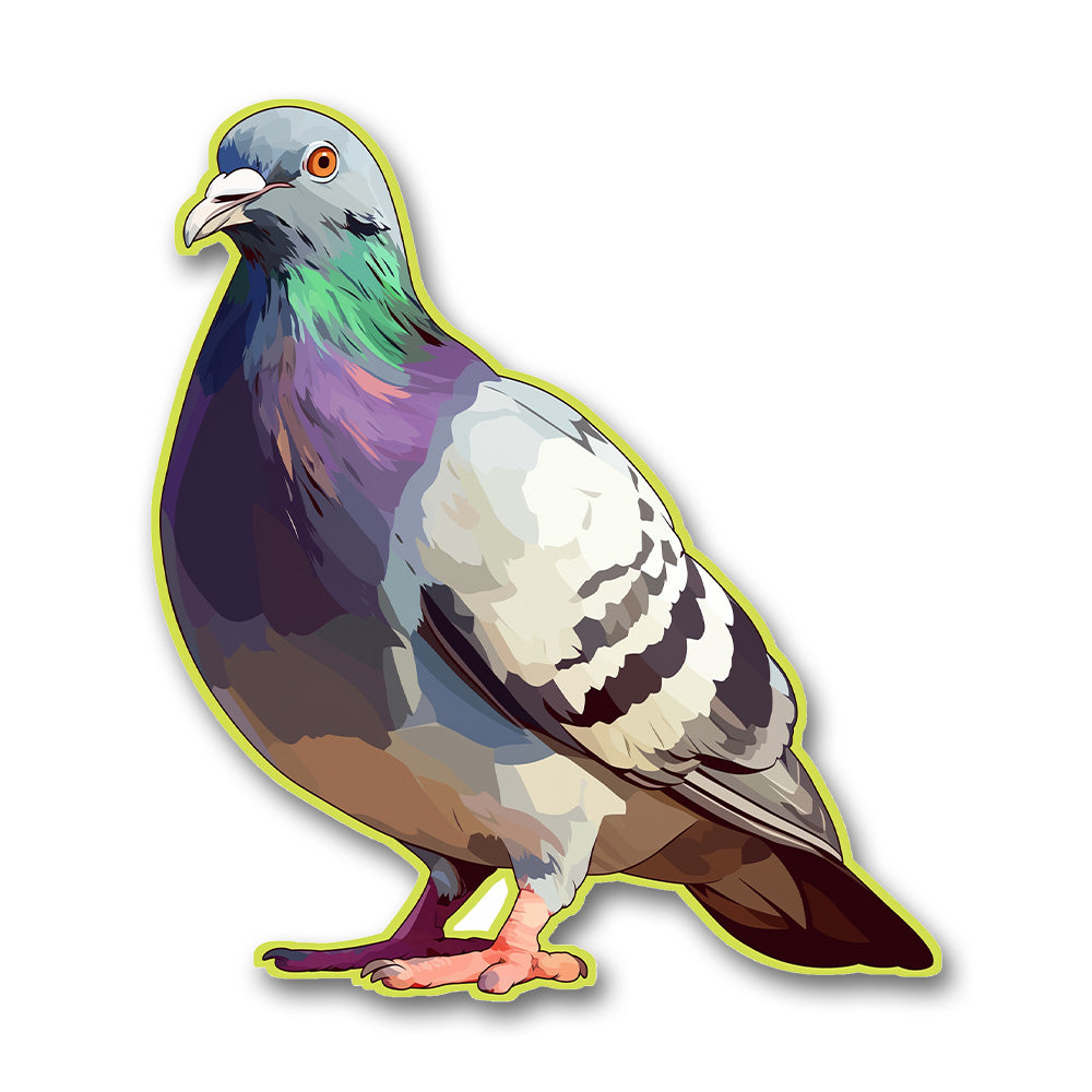 Pigeon Bird Sticker