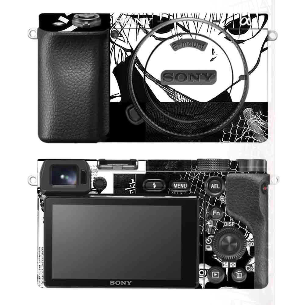 Sony A6100 Camera Skins & Wraps