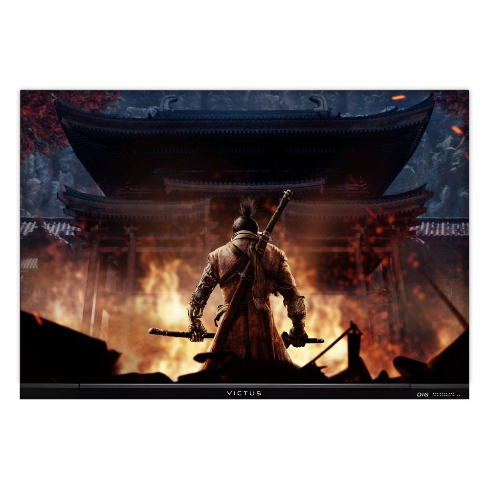 Shadow Ronin