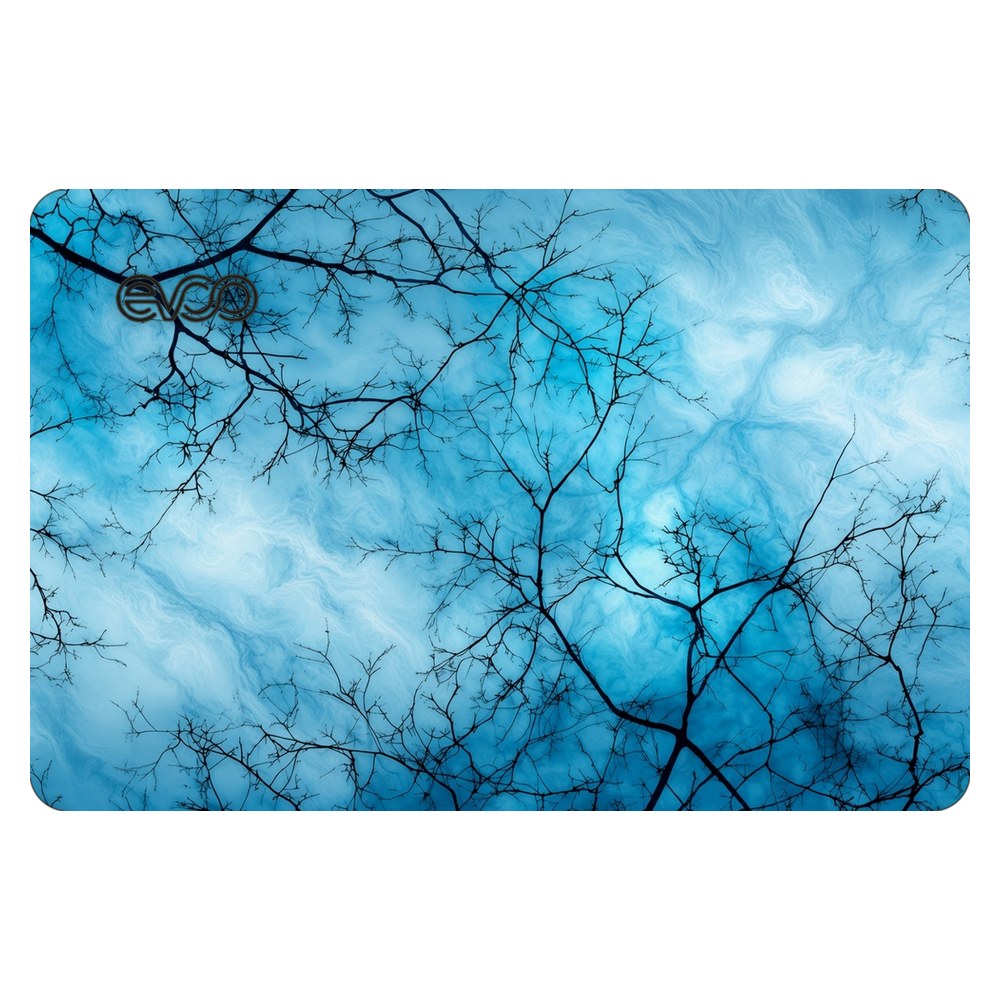 EVOO EG-LP4-BK laptop skin - Blue Sky Branches