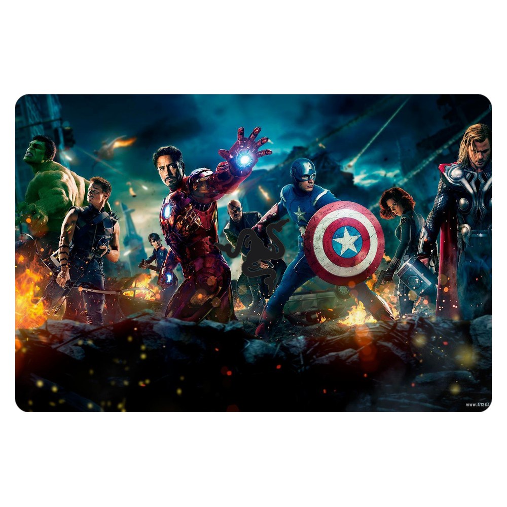 Razer Blade Stealth 13 RZ09-03100EM1 laptop skin - United We Stand