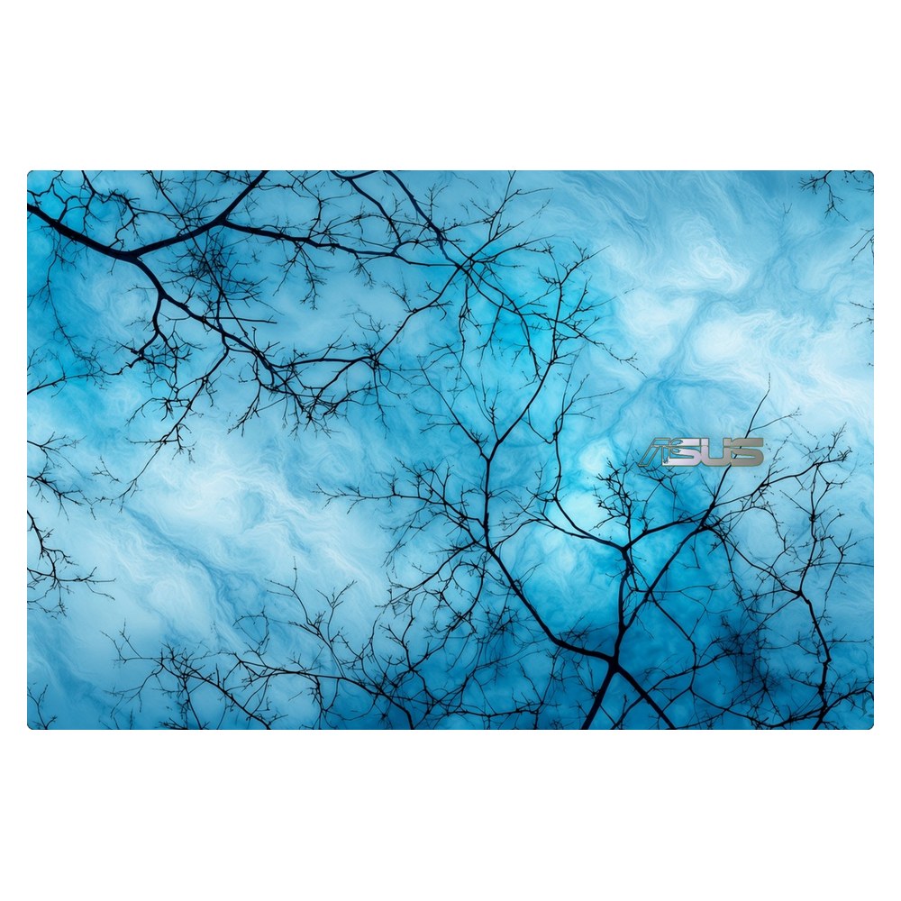 ASUS ZenBook 13 UX325 laptop skin - Blue Sky Branches